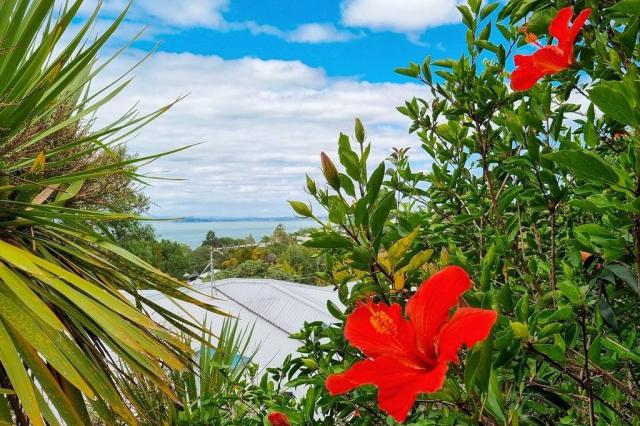 castor bay auckland property for sale keyrealty 31